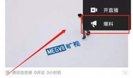 视频爆料怎么赚钱的呀,轻松实现财富增长